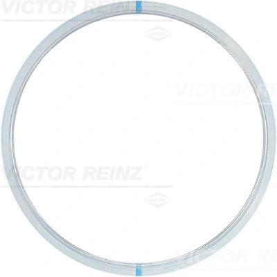 Cilindro galvos tarpinė VICTOR REINZ 61-23455-00