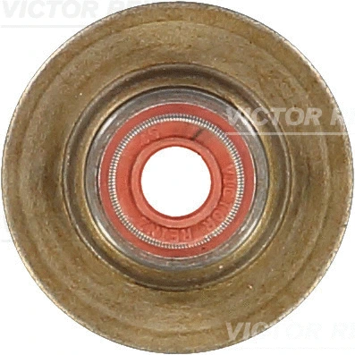 Vožtuvo riebokšlis VICTOR REINZ 70-34439-00