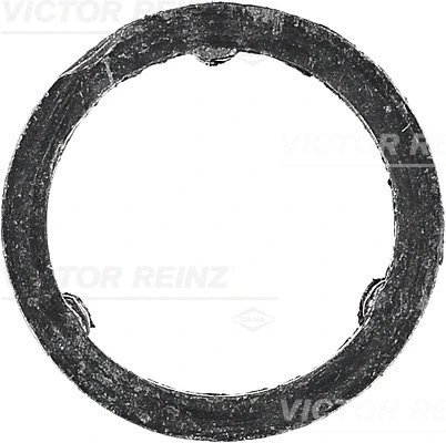 Išleidimo kolektoriaus tarpinė VICTOR REINZ 71-10129-00
