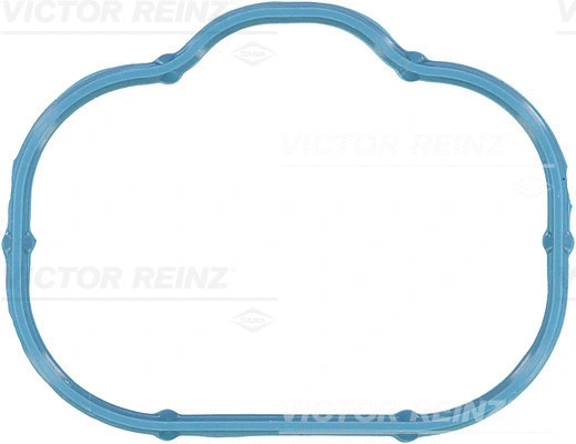Įsiurbimo kolektoriaus tarpinė VICTOR REINZ 71-10360-00