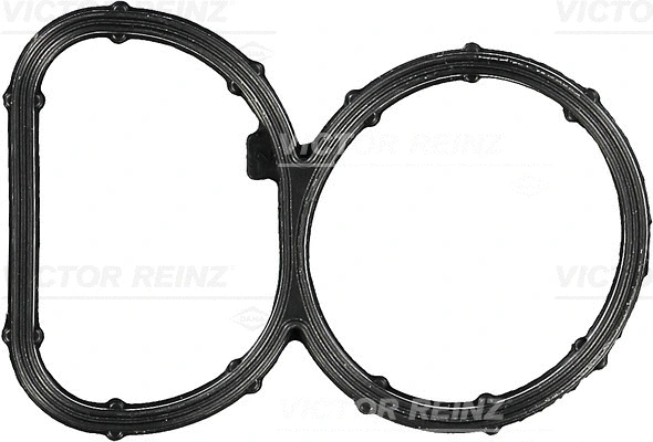 Įsiurbimo kolektoriaus tarpinė VICTOR REINZ 71-10395-00