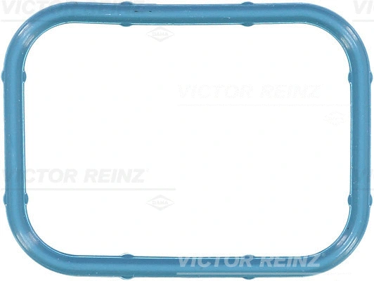 Įsiurbimo kolektoriaus tarpinė VICTOR REINZ 71-10434-00