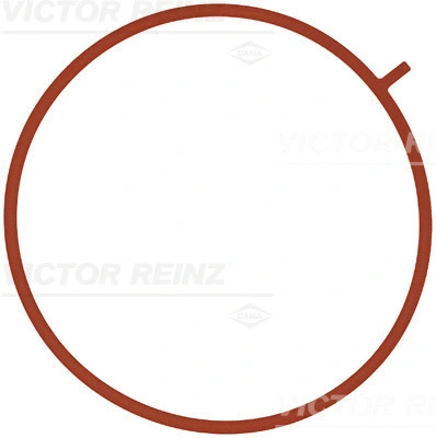 Įsiurbimo kolektoriaus tarpinė VICTOR REINZ 71-10756-00