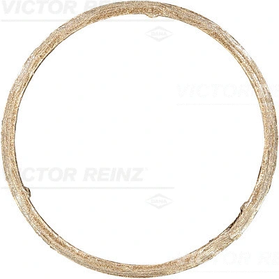 Išleidimo kolektoriaus tarpinė VICTOR REINZ 71-11399-00