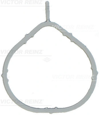 Įsiurbimo kolektoriaus tarpinė VICTOR REINZ 71-17066-00