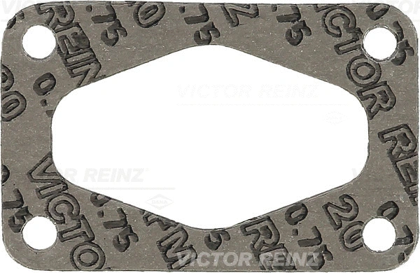 Įsiurbimo kolektoriaus tarpinė VICTOR REINZ 71-20251-20
