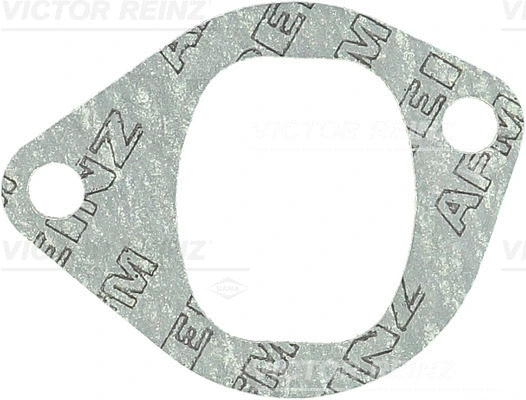 Įsiurbimo kolektoriaus tarpinė VICTOR REINZ 71-20560-10