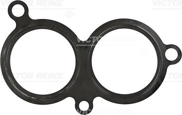 Įsiurbimo kolektoriaus korpuso tarpinė VICTOR REINZ 71-31254-00