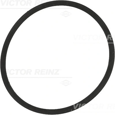 Įsiurbimo kolektoriaus tarpinė VICTOR REINZ 71-34204-00