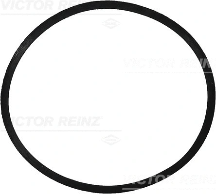 Įsiurbimo kolektoriaus tarpinė VICTOR REINZ 71-34473-00