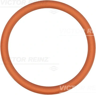 Įsiurbimo kolektoriaus tarpinė VICTOR REINZ 71-35247-00
