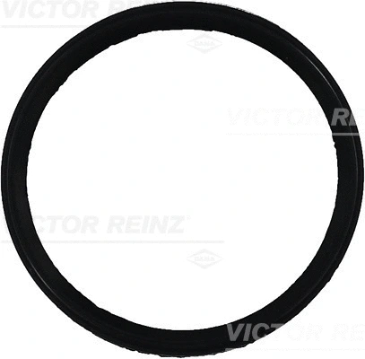 Įsiurbimo kolektoriaus tarpinė VICTOR REINZ 71-35249-00