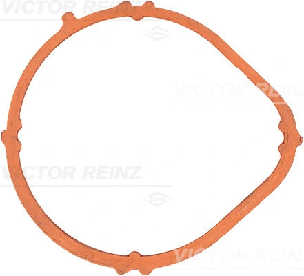Įsiurbimo kolektoriaus tarpinė VICTOR REINZ 71-35381-00