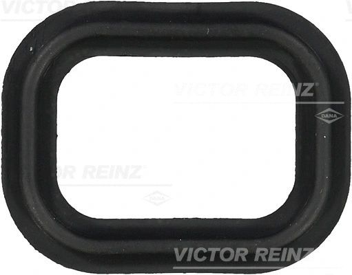 Įsiurbimo kolektoriaus tarpinė VICTOR REINZ 71-35651-00