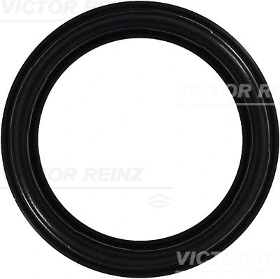 Svirties dangtelio tarpinė VICTOR REINZ 71-35659-00