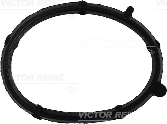 Įsiurbimo kolektoriaus tarpinė VICTOR REINZ 71-35681-00