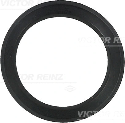 Įsiurbimo kolektoriaus korpuso tarpinė VICTOR REINZ 71-36061-00