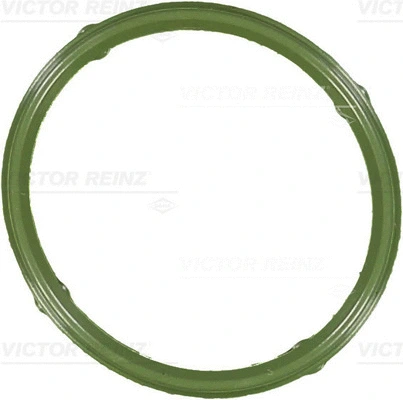 Įsiurbimo kolektoriaus tarpinė VICTOR REINZ 71-36066-00