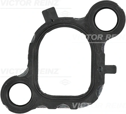 Įsiurbimo kolektoriaus tarpinė VICTOR REINZ 71-36076-00