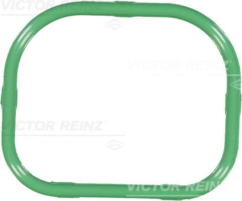 Įsiurbimo kolektoriaus korpuso tarpinė VICTOR REINZ 71-36167-00