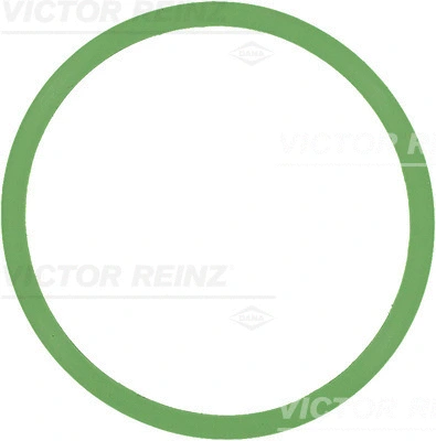 Įsiurbimo kolektoriaus tarpinė VICTOR REINZ 71-37599-00