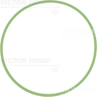 Įsiurbimo kolektoriaus korpuso tarpinė VICTOR REINZ 71-37631-00
