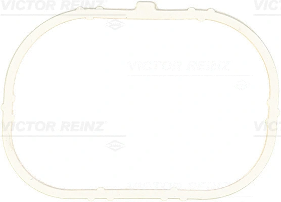 Įsiurbimo kolektoriaus korpuso tarpinė VICTOR REINZ 71-37913-00
