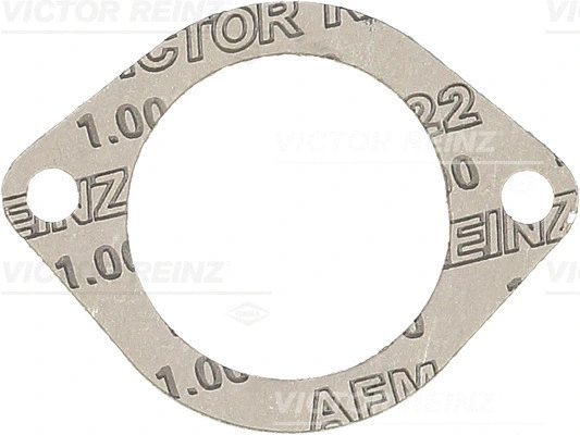 Įsiurbimo kolektoriaus korpuso tarpinė VICTOR REINZ 71-38304-00