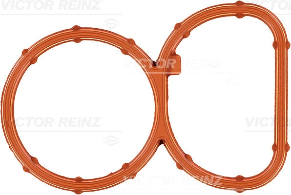 Įsiurbimo kolektoriaus tarpinė VICTOR REINZ 71-39378-00