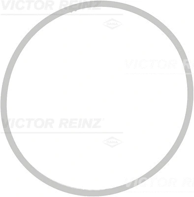 Įsiurbimo kolektoriaus tarpinė VICTOR REINZ 71-39409-00
