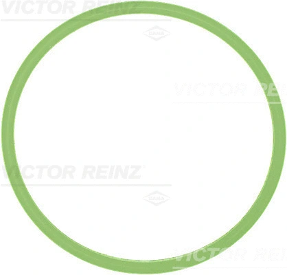 Įsiurbimo kolektoriaus tarpinė VICTOR REINZ 71-40522-00