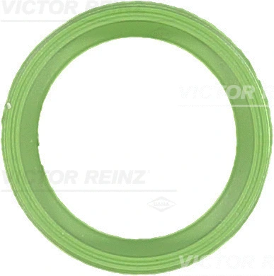 Įsiurbimo kolektoriaus tarpinė VICTOR REINZ 71-40534-00