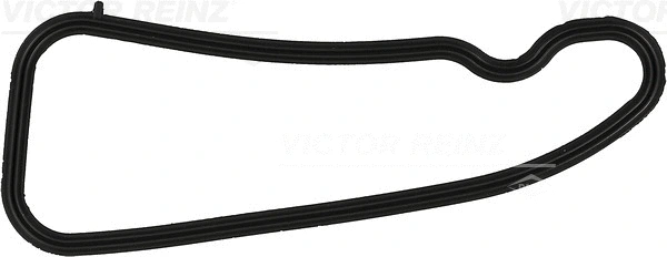 Įsiurbimo kolektoriaus tarpinė VICTOR REINZ 71-41318-00