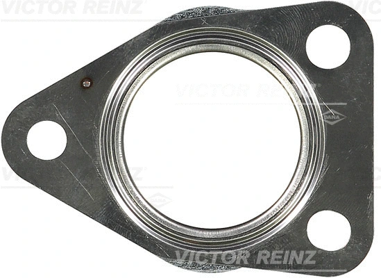 Išleidimo kolektoriaus tarpinė VICTOR REINZ 71-42072-00
