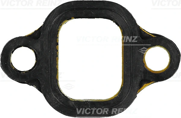 Įsiurbimo kolektoriaus tarpinė VICTOR REINZ 71-53006-00