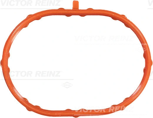 Įsiurbimo kolektoriaus tarpinė VICTOR REINZ 71-53796-00