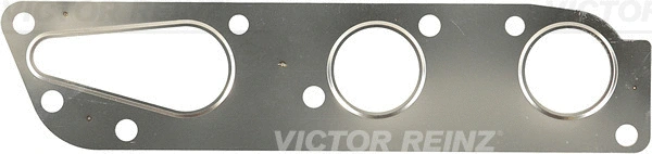 Išleidimo kolektoriaus tarpinė VICTOR REINZ 71-54202-00