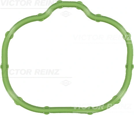 Įsiurbimo kolektoriaus tarpinė VICTOR REINZ 71-54268-00