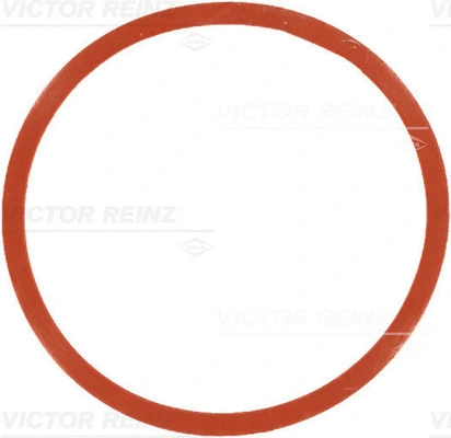 Įsiurbimo kolektoriaus tarpinė VICTOR REINZ 71-77546-00