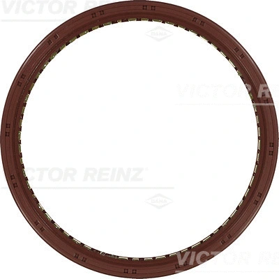 Alkūninio veleno riebokšlis VICTOR REINZ 81-10373-00
