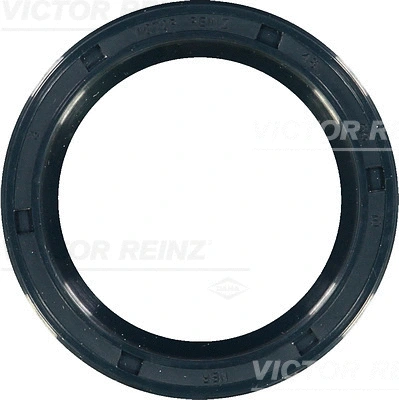 Alkūninio veleno riebokšlis VICTOR REINZ 81-17404-00