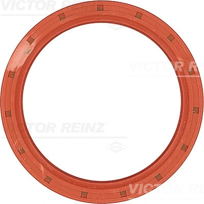 Alkūninio veleno riebokšlis VICTOR REINZ 81-18304-00