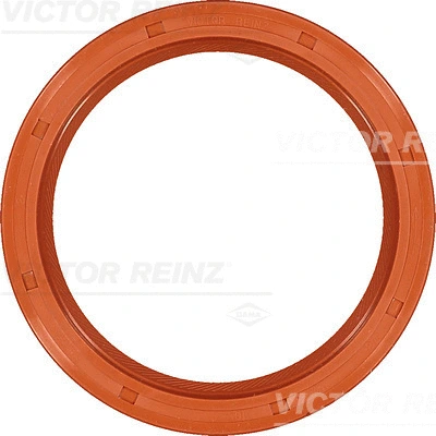 Alkūninio veleno riebokšlis VICTOR REINZ 81-23578-00