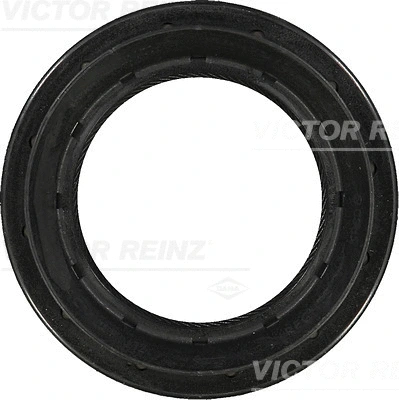 Mechaninės transmisijos veleno sandariklis VICTOR REINZ 81-29412-00