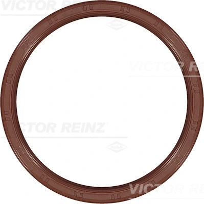 Alkūninio veleno riebokšlis VICTOR REINZ 81-33646-00