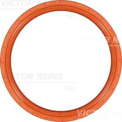 Alkūninio veleno riebokšlis VICTOR REINZ 81-33858-00