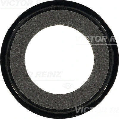 Alkūninio veleno riebokšlis VICTOR REINZ 81-34062-00