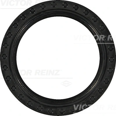 Alkūninio veleno riebokšlis VICTOR REINZ 81-34314-00
