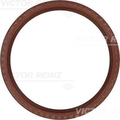 Alkūninio veleno riebokšlis VICTOR REINZ 81-34318-00