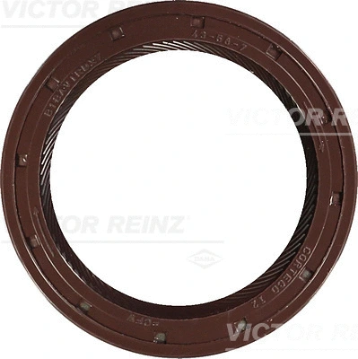 Alkūninio veleno sandariklis VICTOR REINZ 81-35074-00